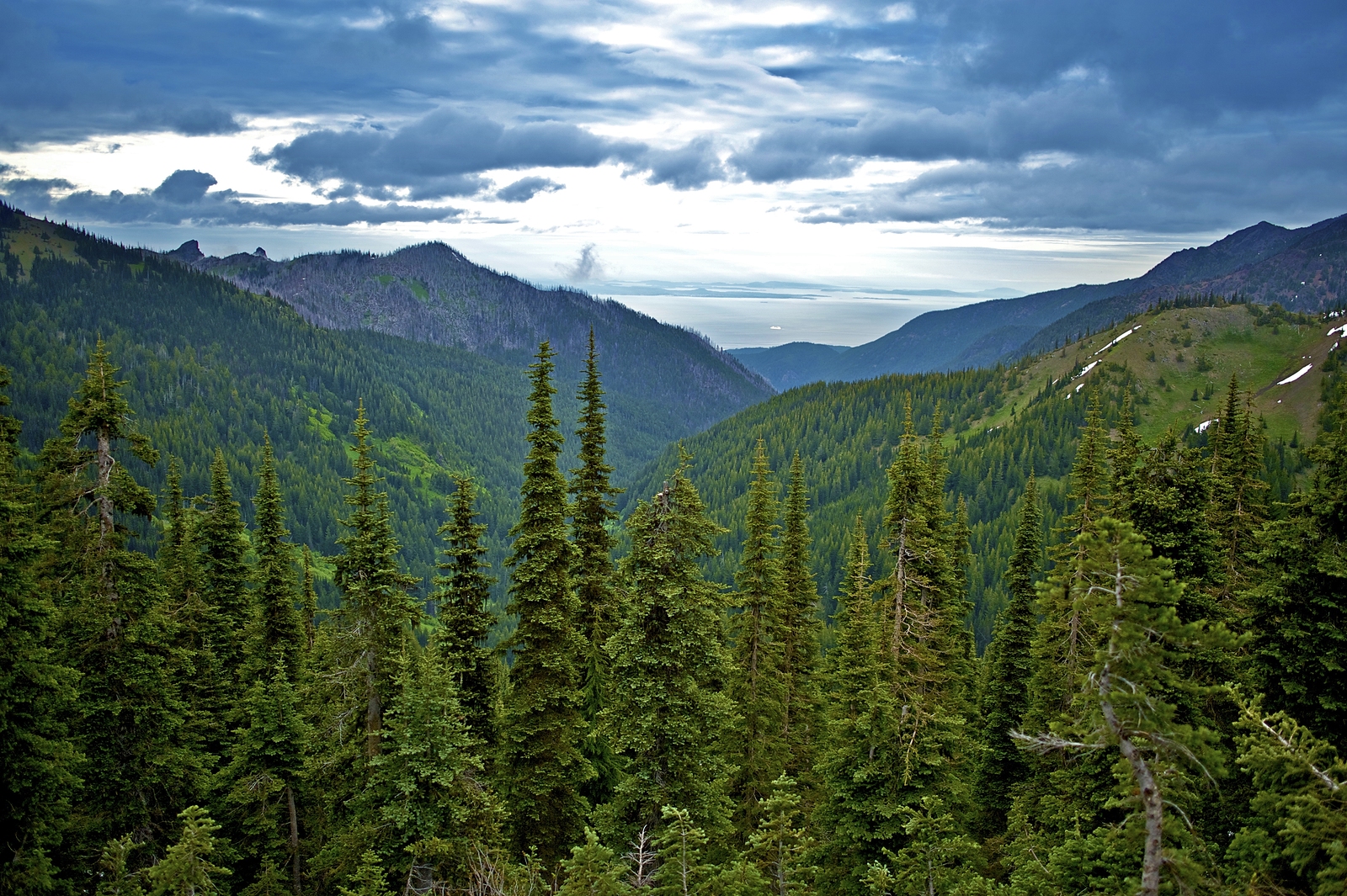 5 Essential Hikes Near Sequim