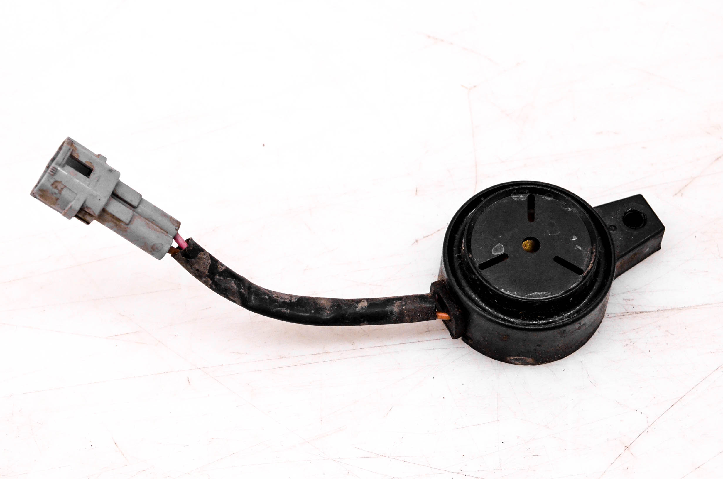 Horn Buzzer
