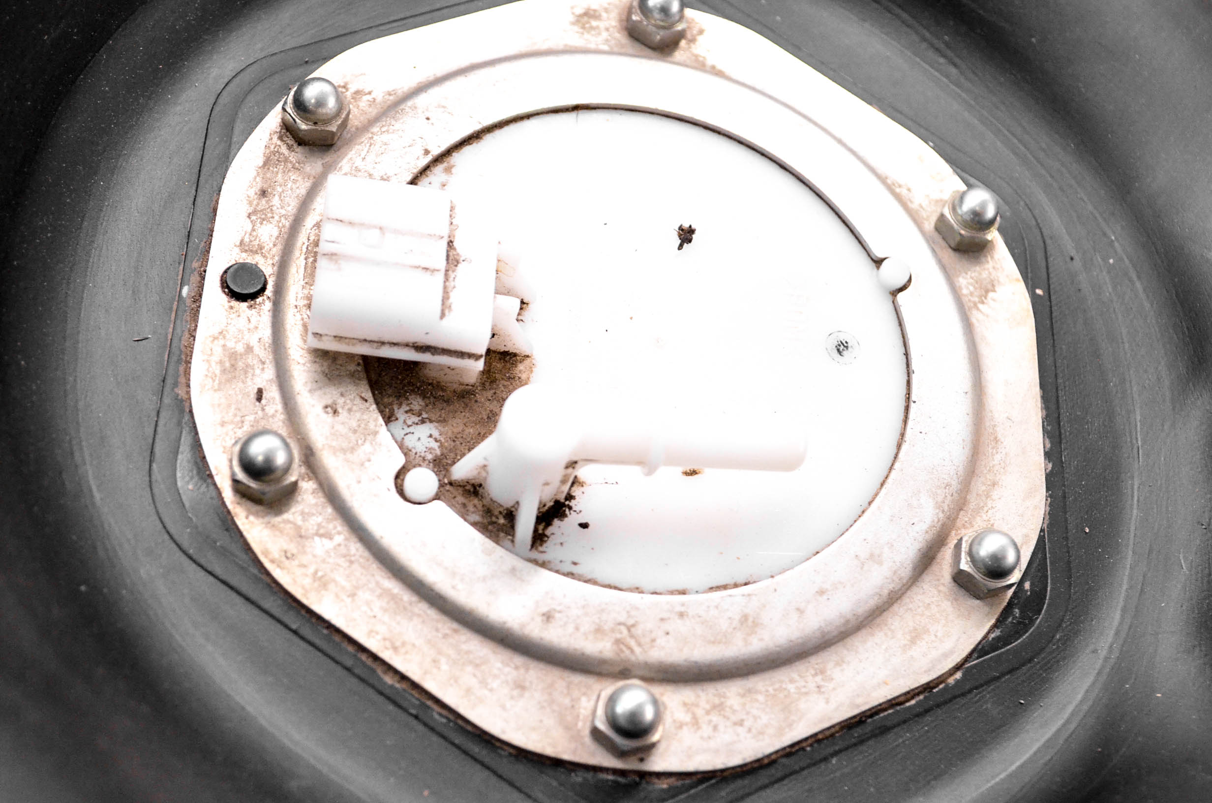 Gas Tank & Fuel Pump