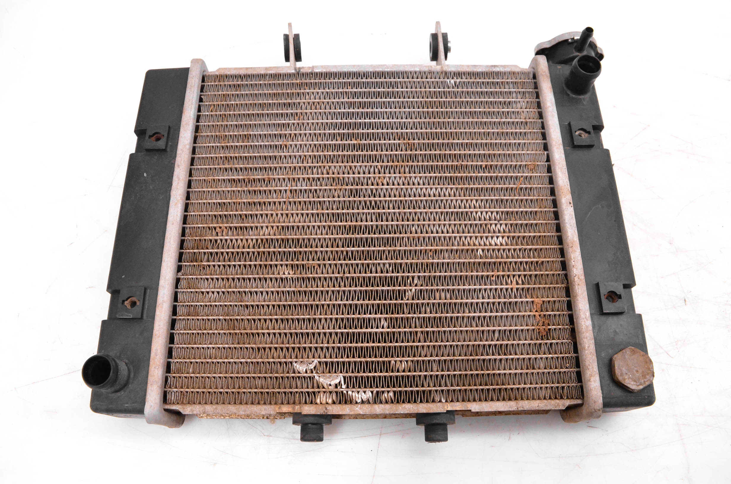 05 Can-Am Rally 175 200 2x4 Radiator