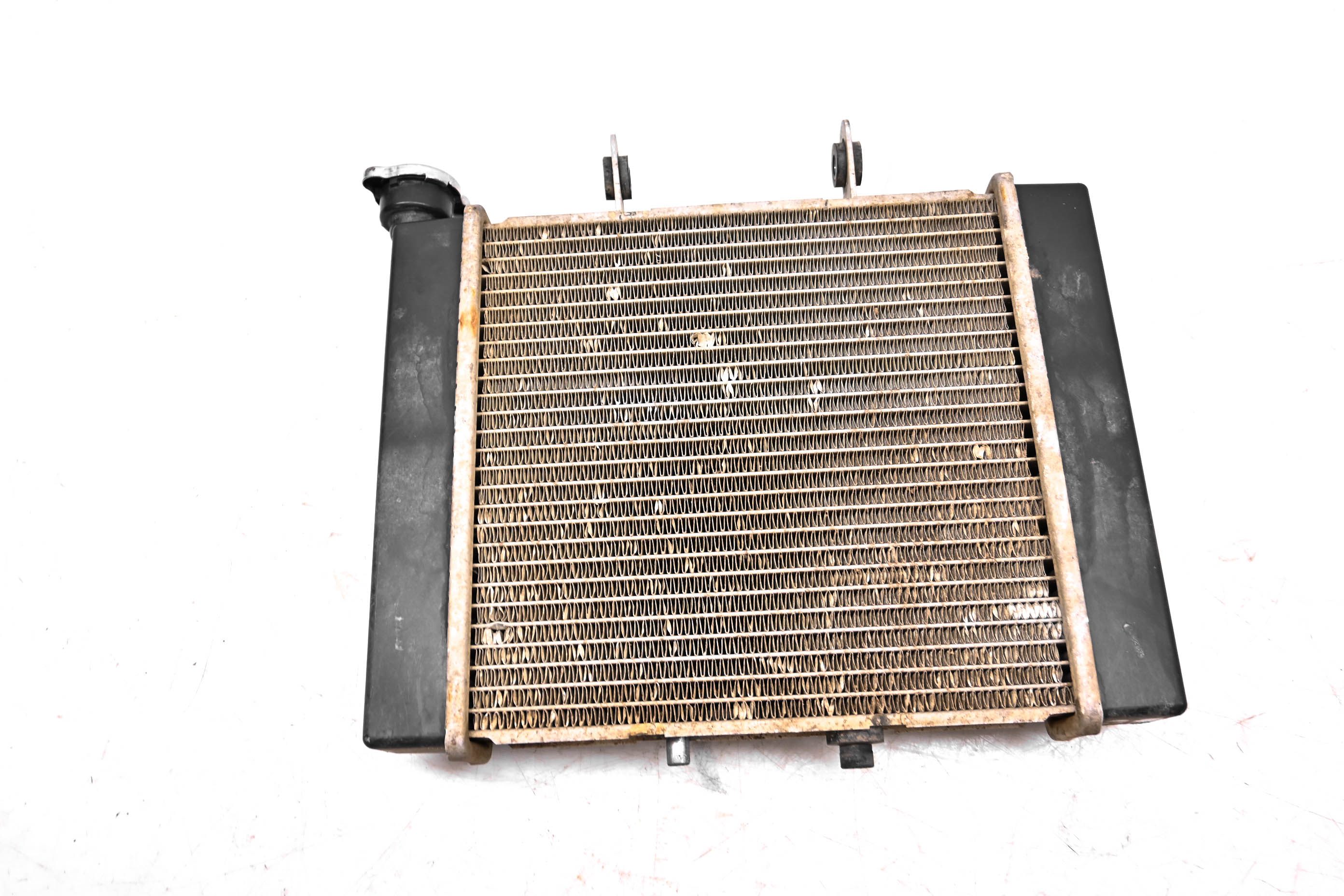 07 Can-Am Rally 175 200 2x4 Radiator