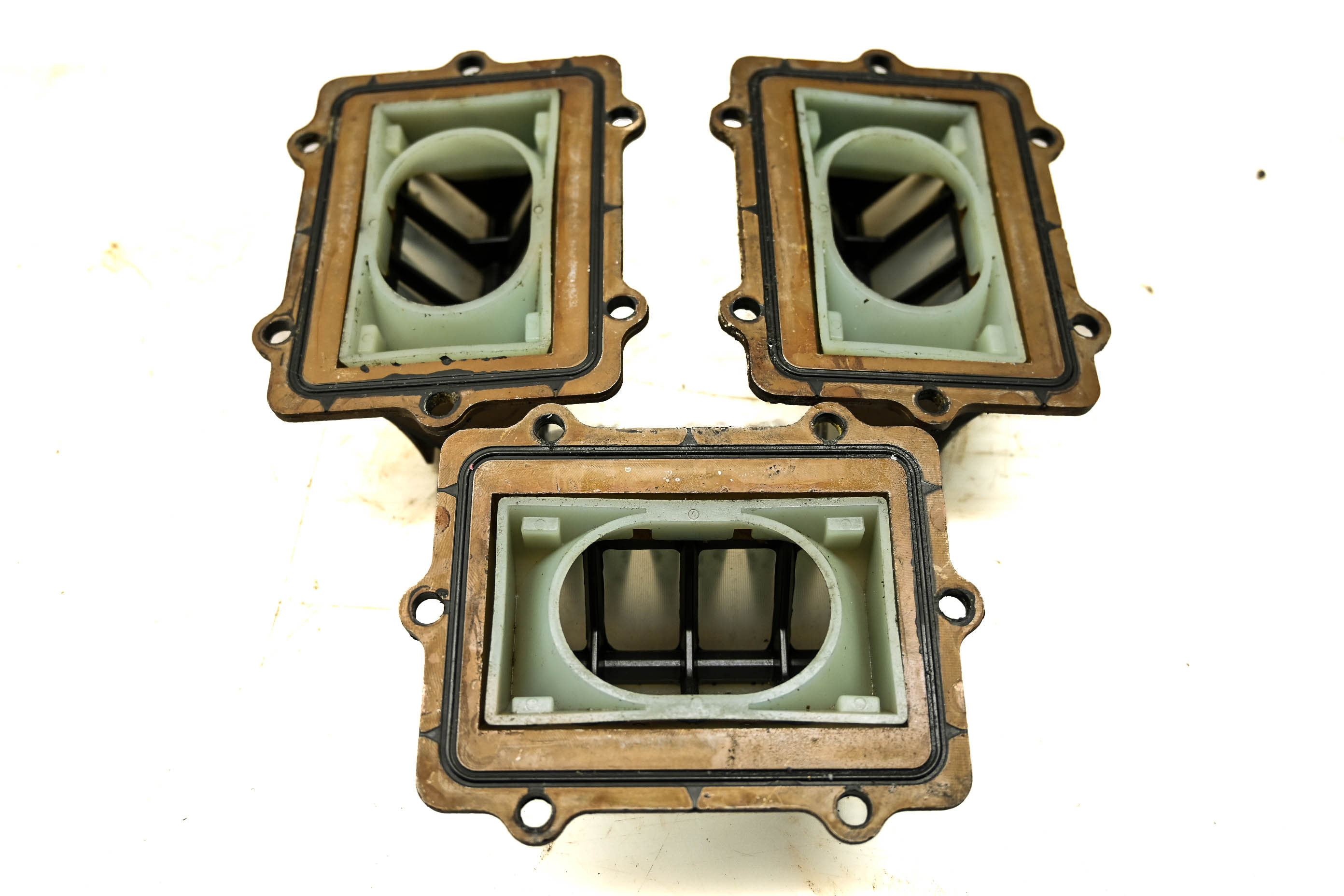 00 Polaris Genesis FFI 4-Pass Reed Valves