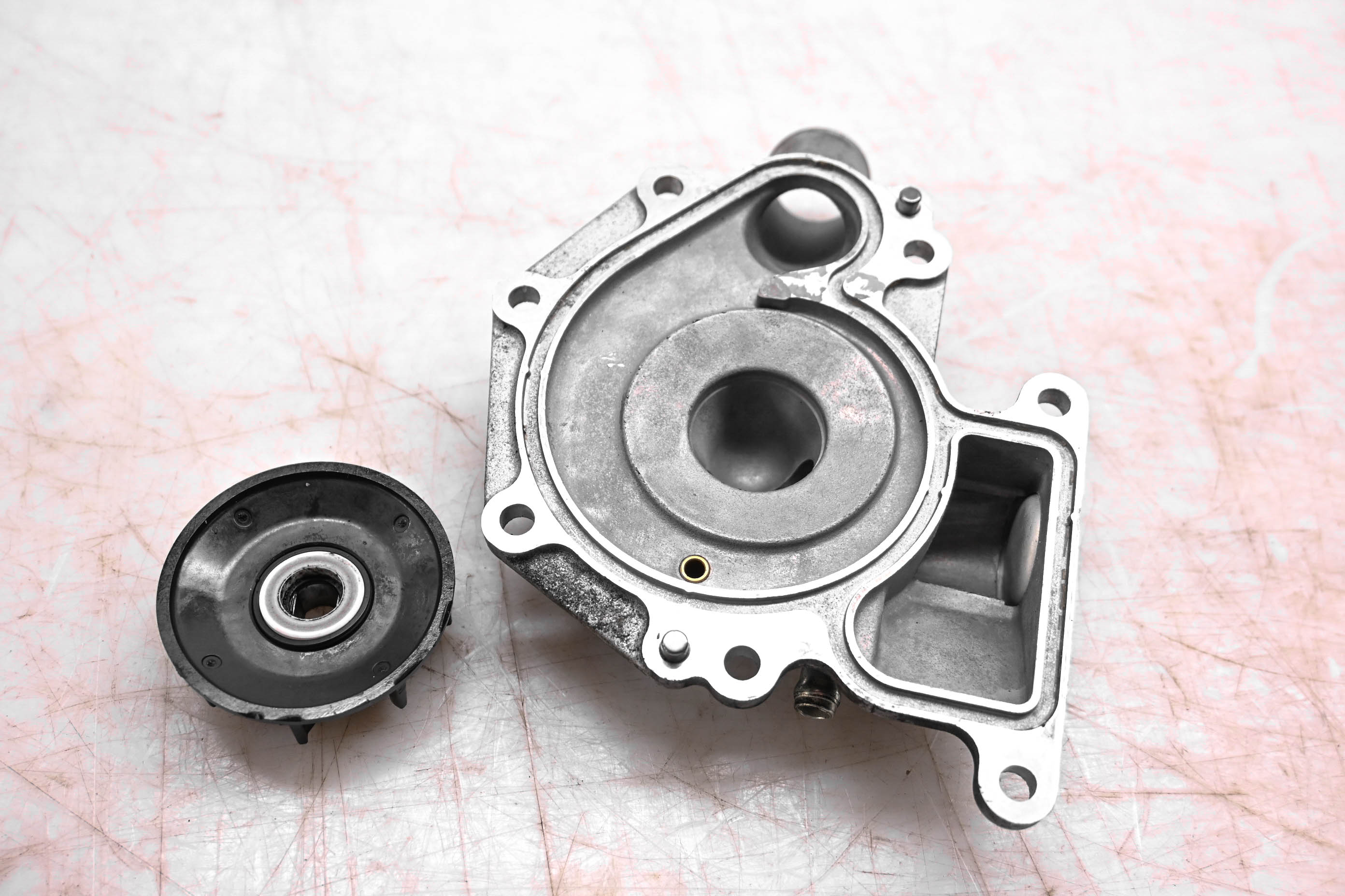 17 Arctic Cat XF 8000 Water Pump Cover & Impeller