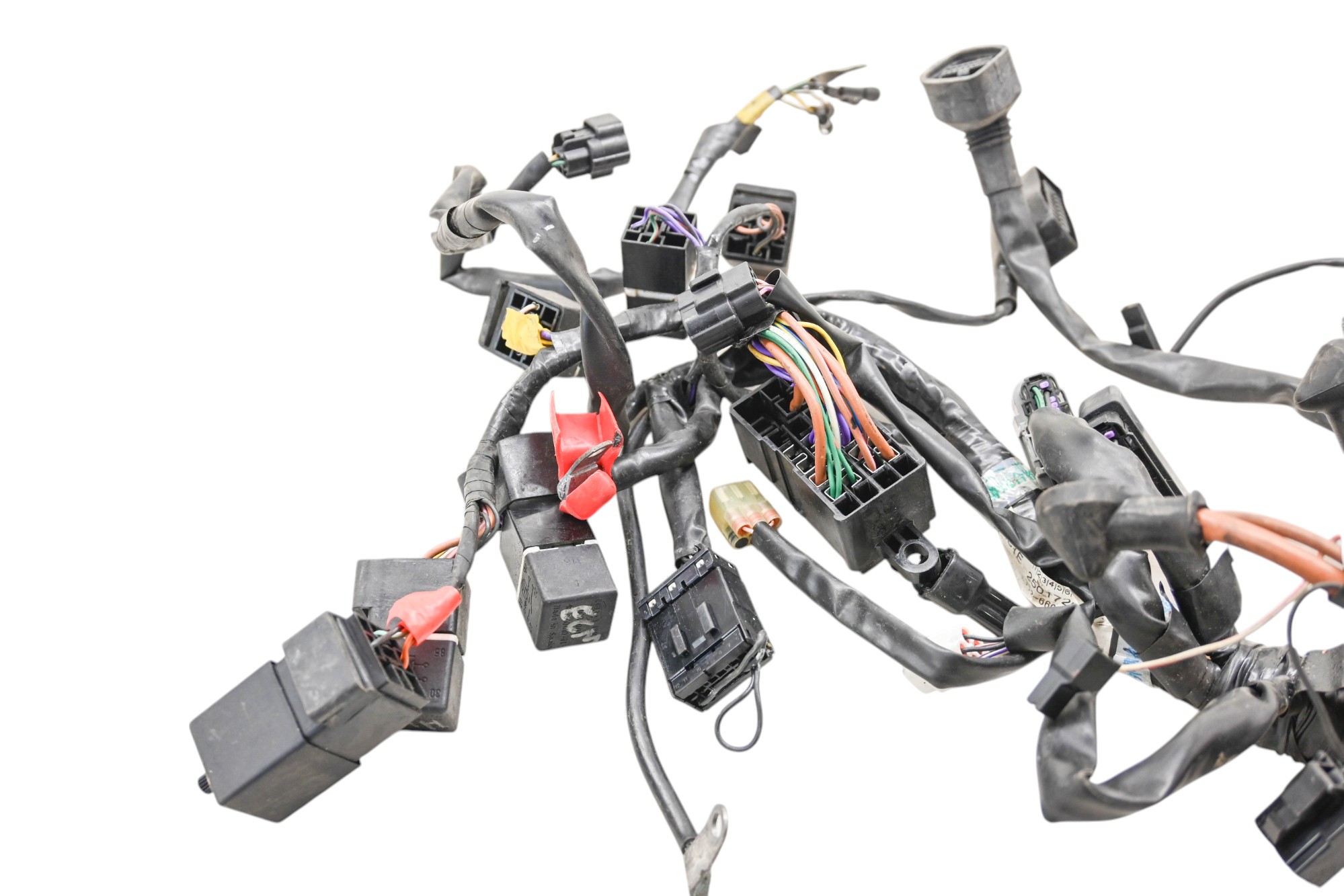 07 Triumph Speed Triple Wire Harness Electrical Wiring