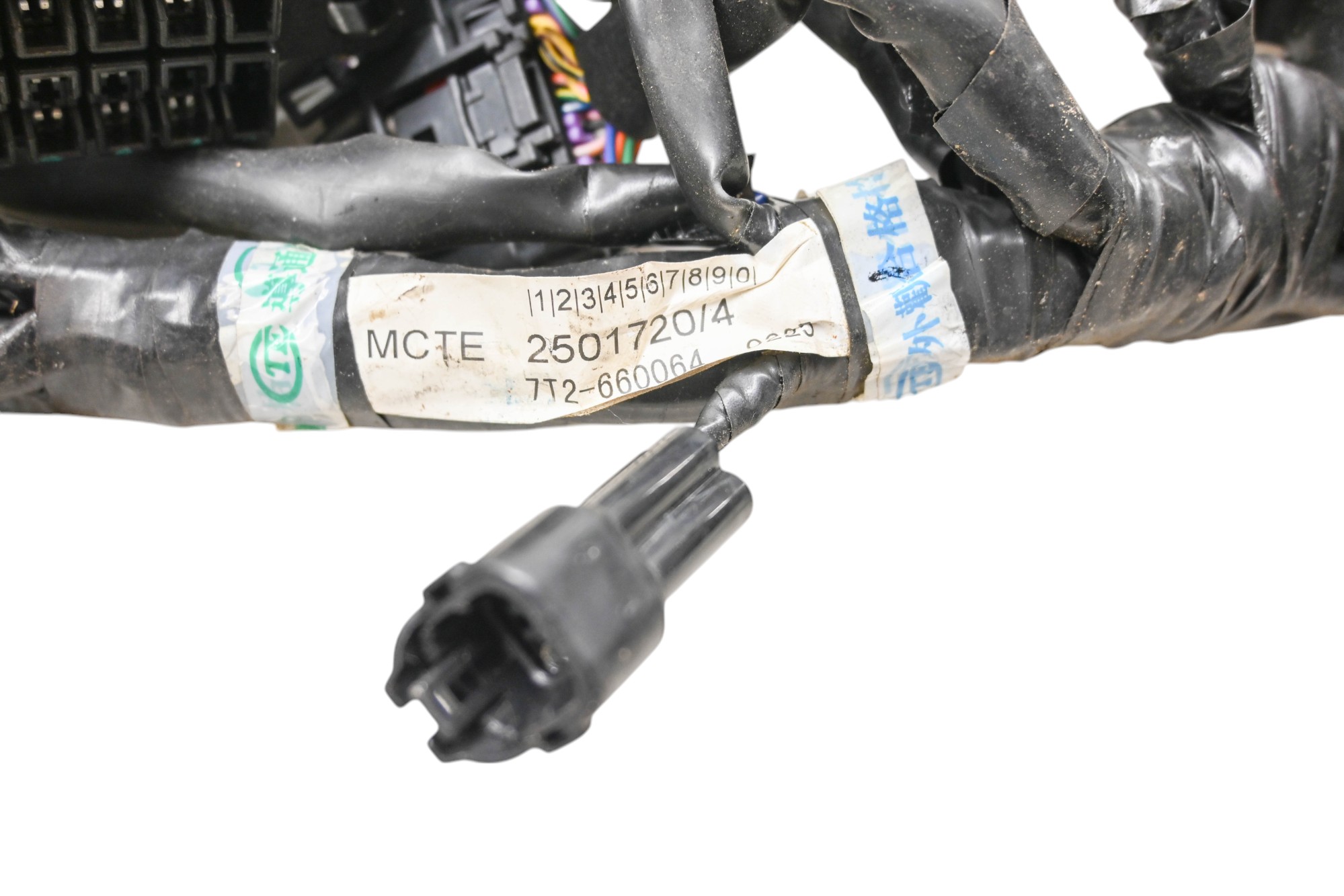 07 Triumph Speed Triple Wire Harness Electrical Wiring