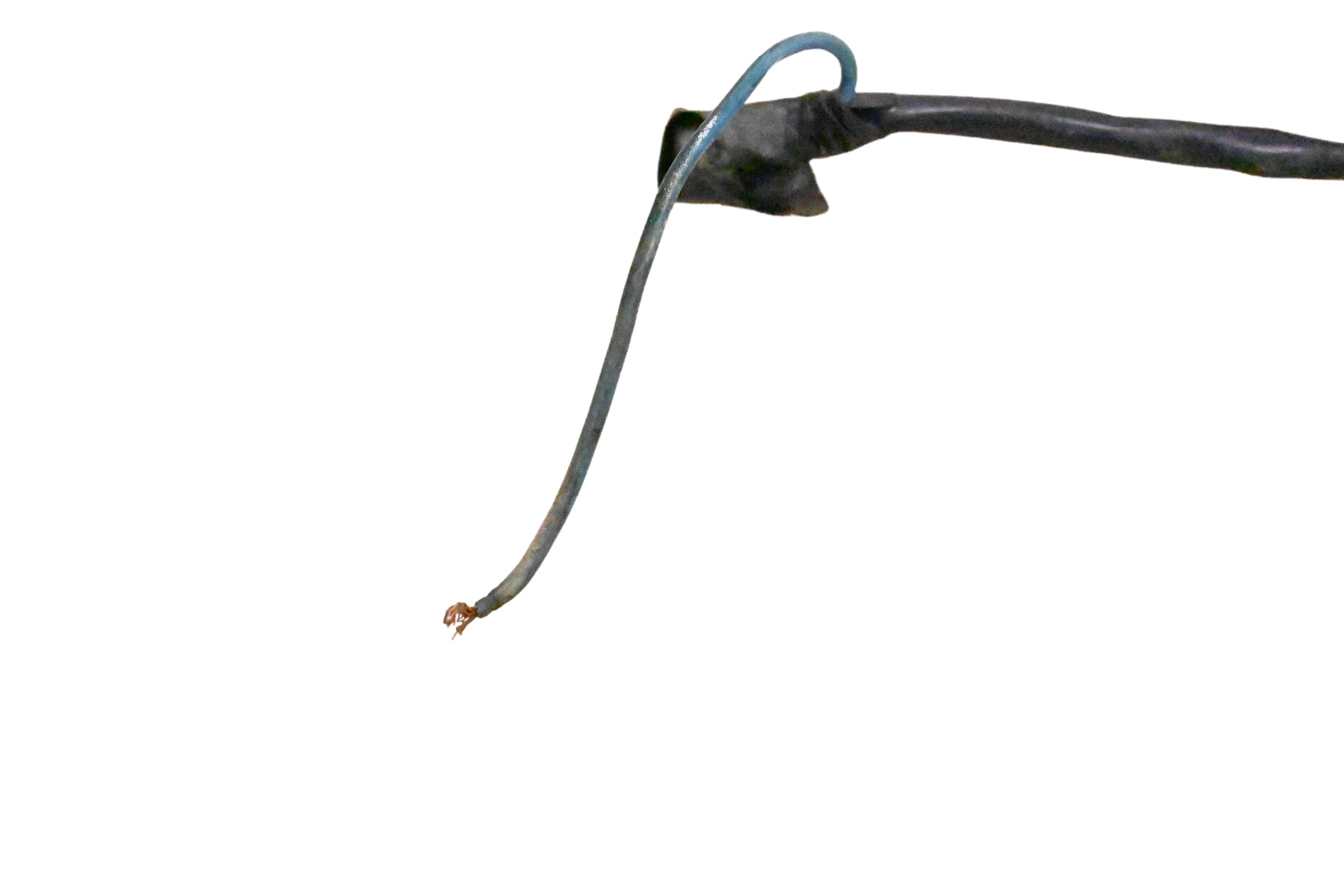 06 Honda TRX450ER Wire Harness Electrical Wiring
