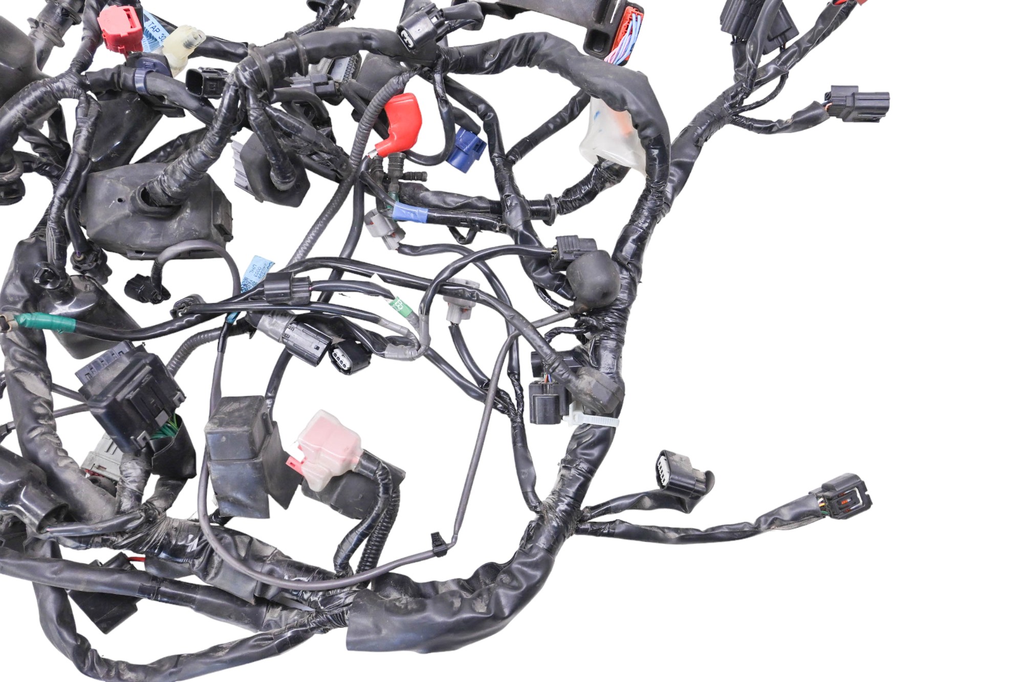 23 Honda CB500F Wire Harness Electrical Wiring