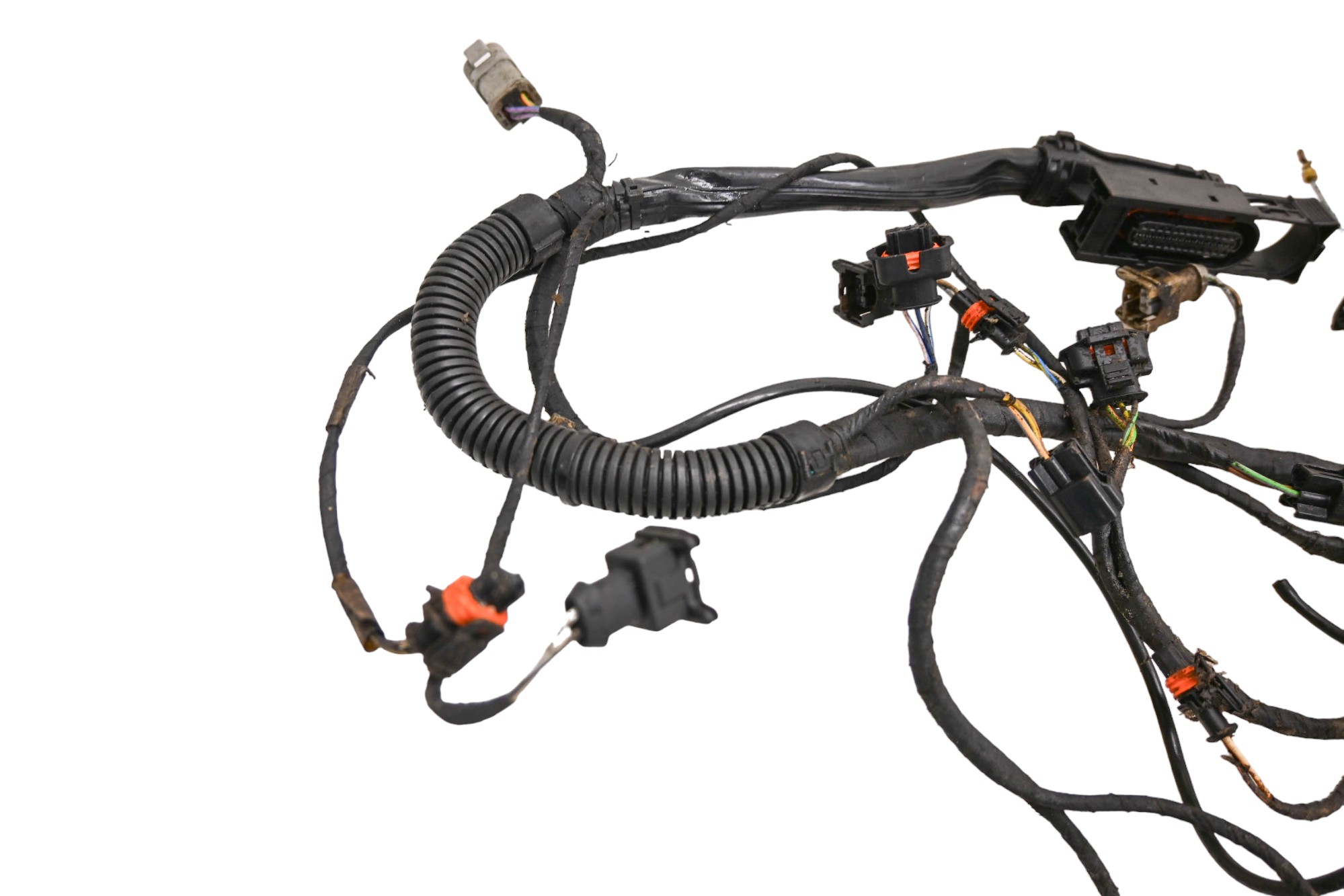 08 Sea-Doo GTI 155 SE Engine Harness Electrical Wiring
