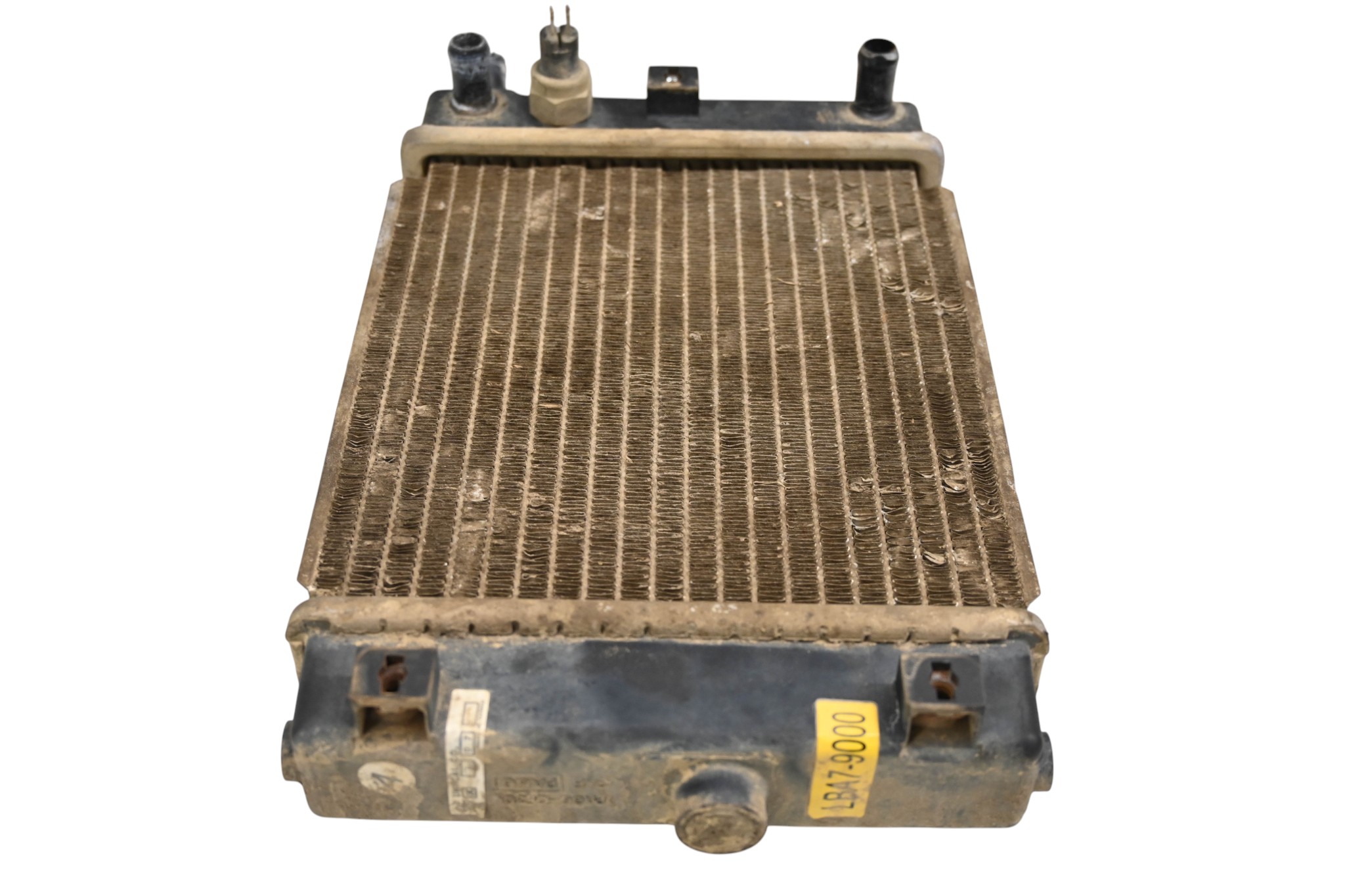 06 Arctic Cat DVX250 2x4 Radiator