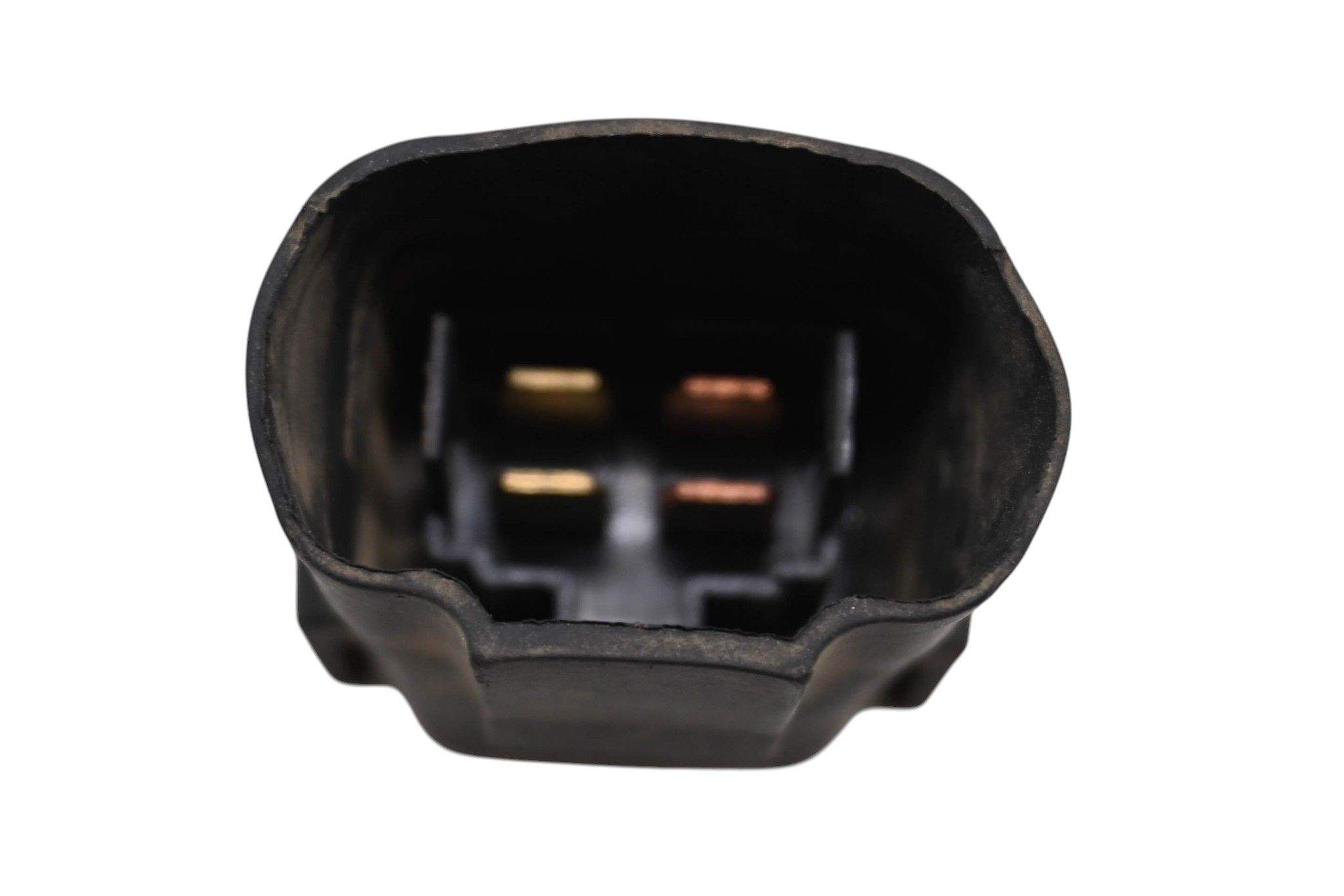23 Bighorn Explorer 450 VXL-T Relay