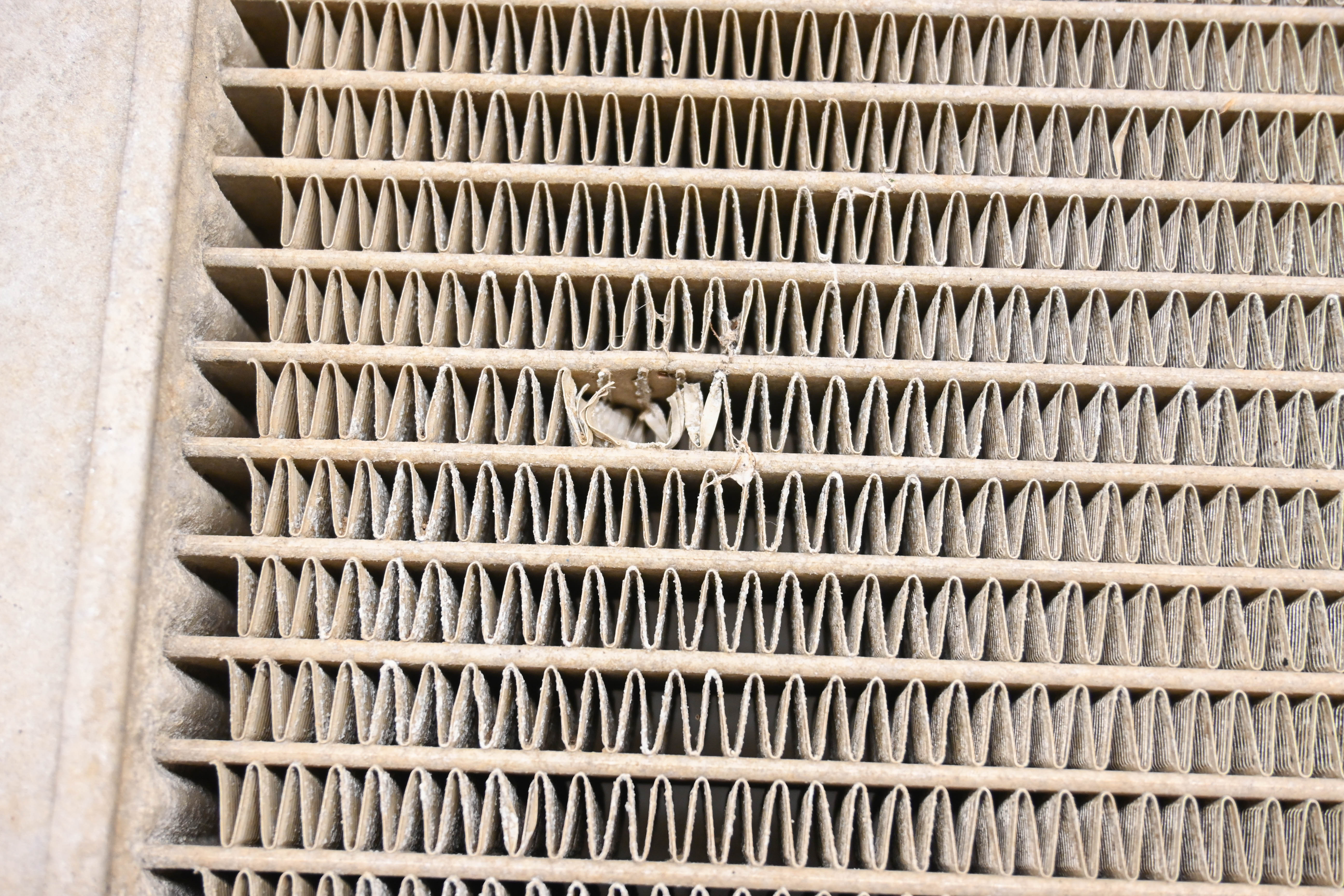 05 Yamaha Kodiak 400 4x4 Radiator YFM400F