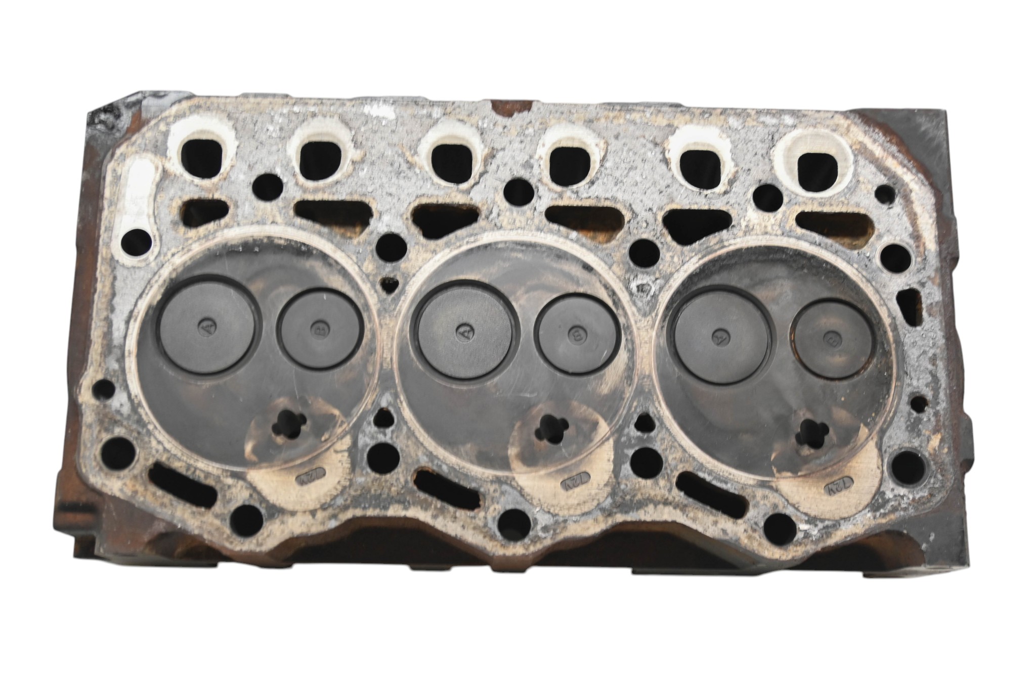 13 Polaris Brutus Cylinder Head