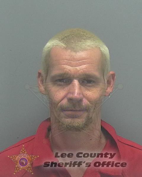 Lee County Mugshots - Darrell Ernest Jr Combee