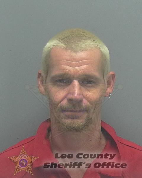 Lee County Mugshots -  Darrell Ernest Jr Combee