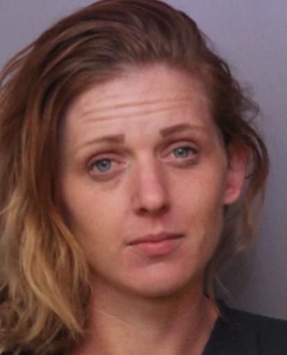 Polk County Mugshots -  Amanda  Brown