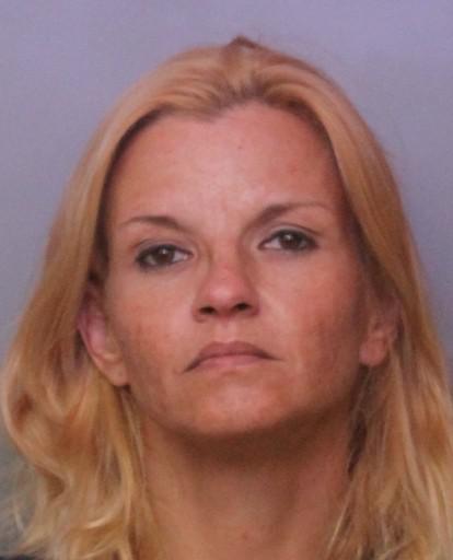 Polk County Mugshots -  Amy Lee Simmons