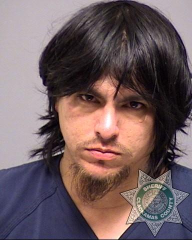 Clackamas County Mugshots -  William Peter Haydu