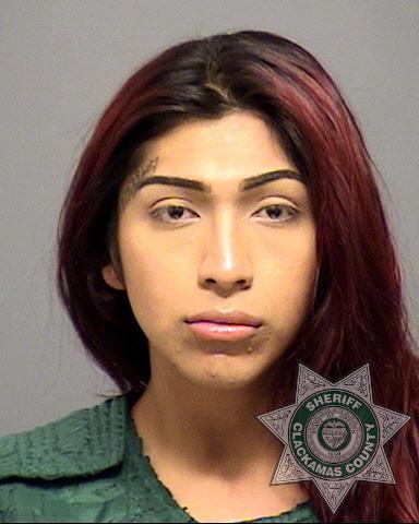 Clackamas County Mugshots - Gerardo Vasquez