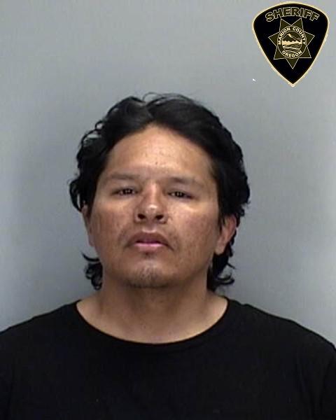 Marion County Mugshots - Snake
Harrington