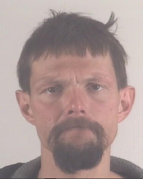 Tarrant County Mugshots - Troy Lynn Todd