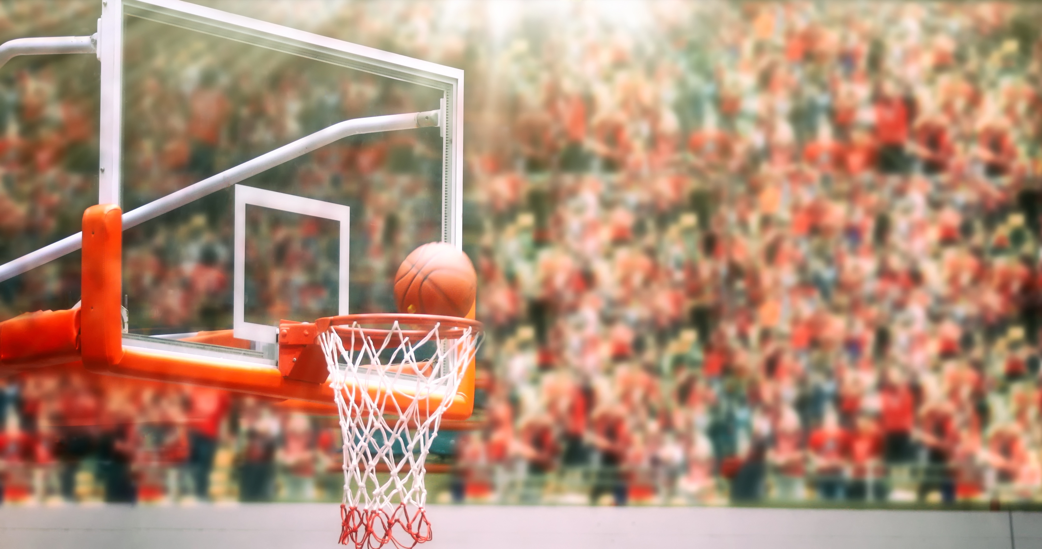 AdobeStock_143503358.jpeg