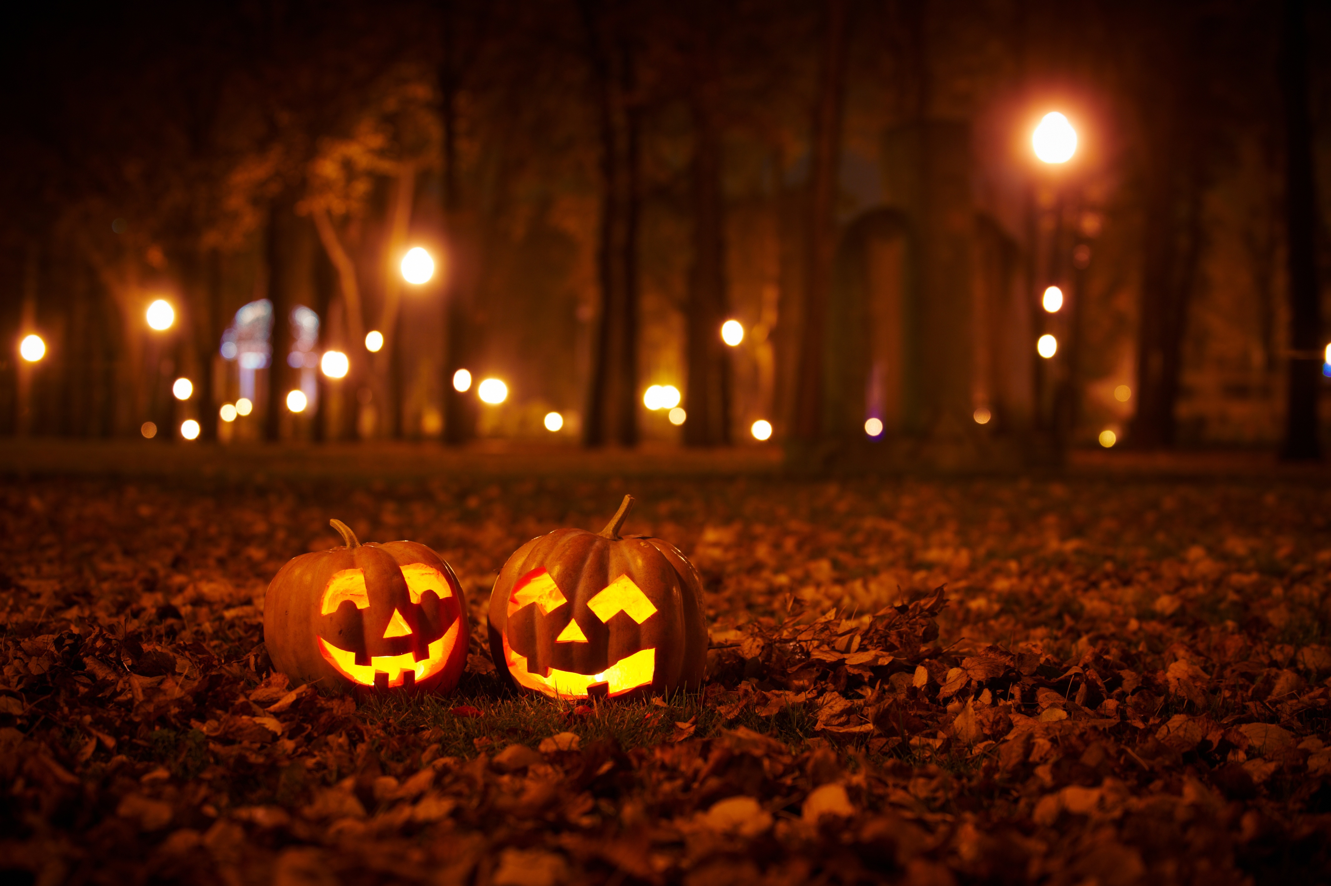 AdobeStock_172959657
