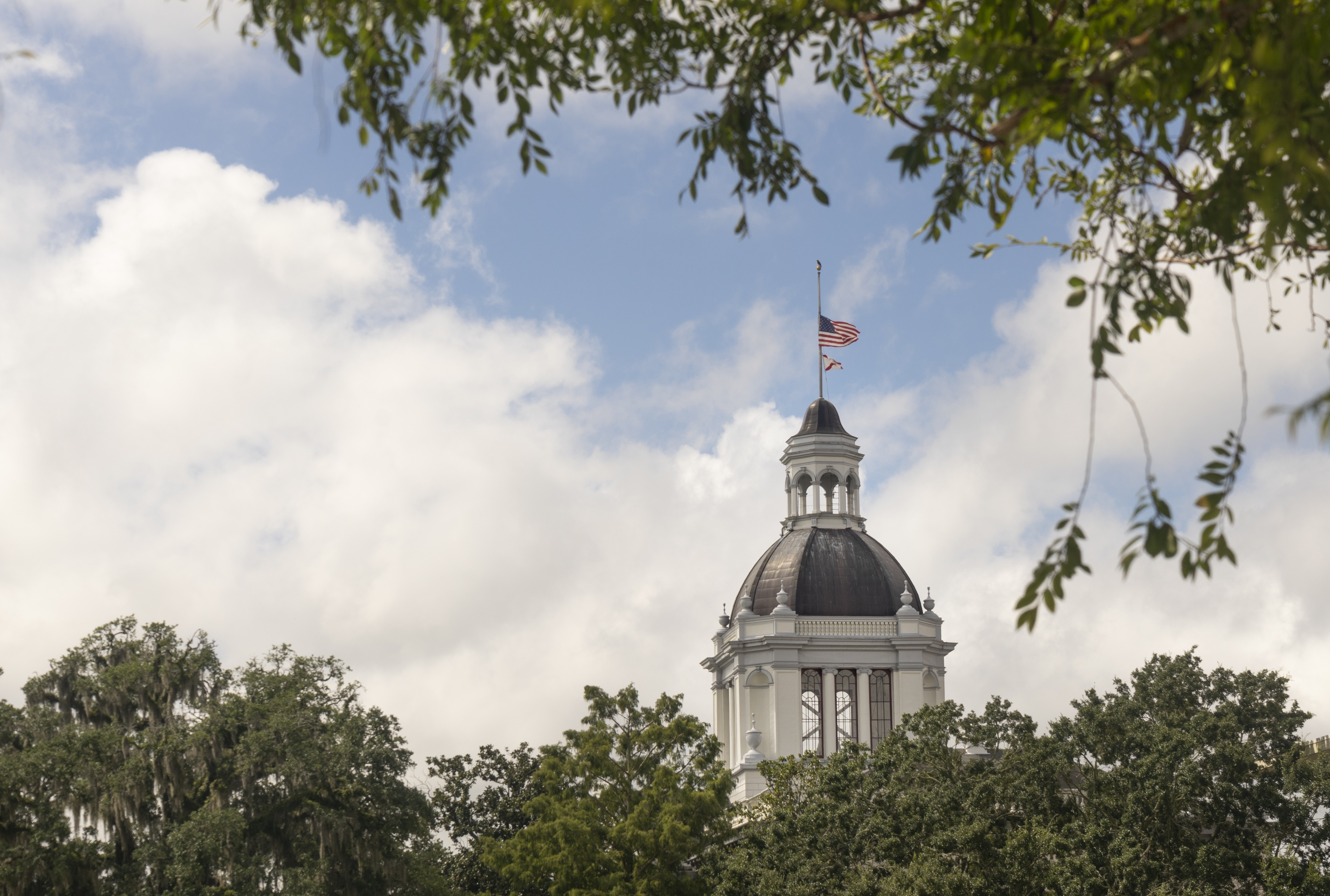 AdobeStock_222716715