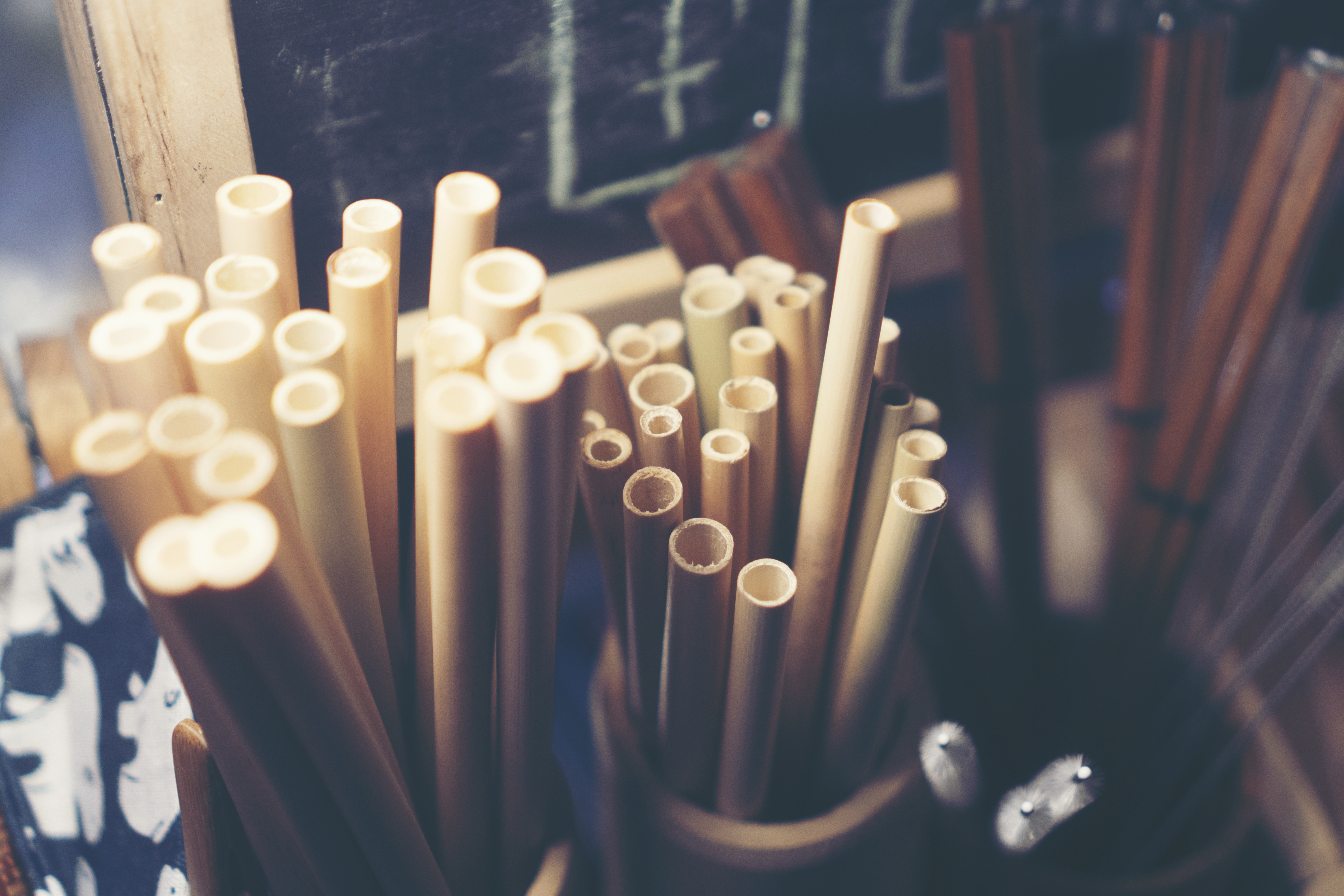 AdobeStock_257617610