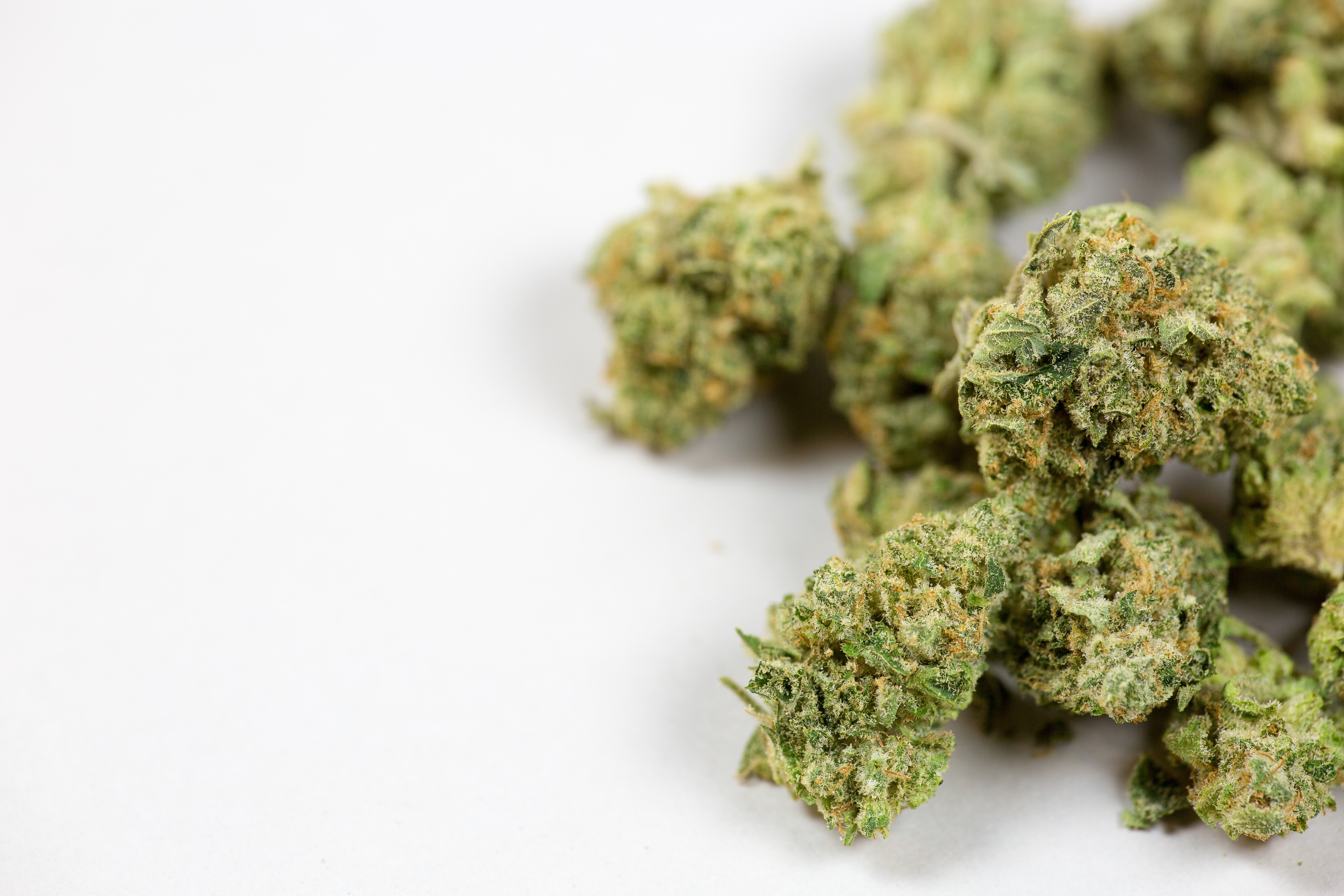 Marijuana