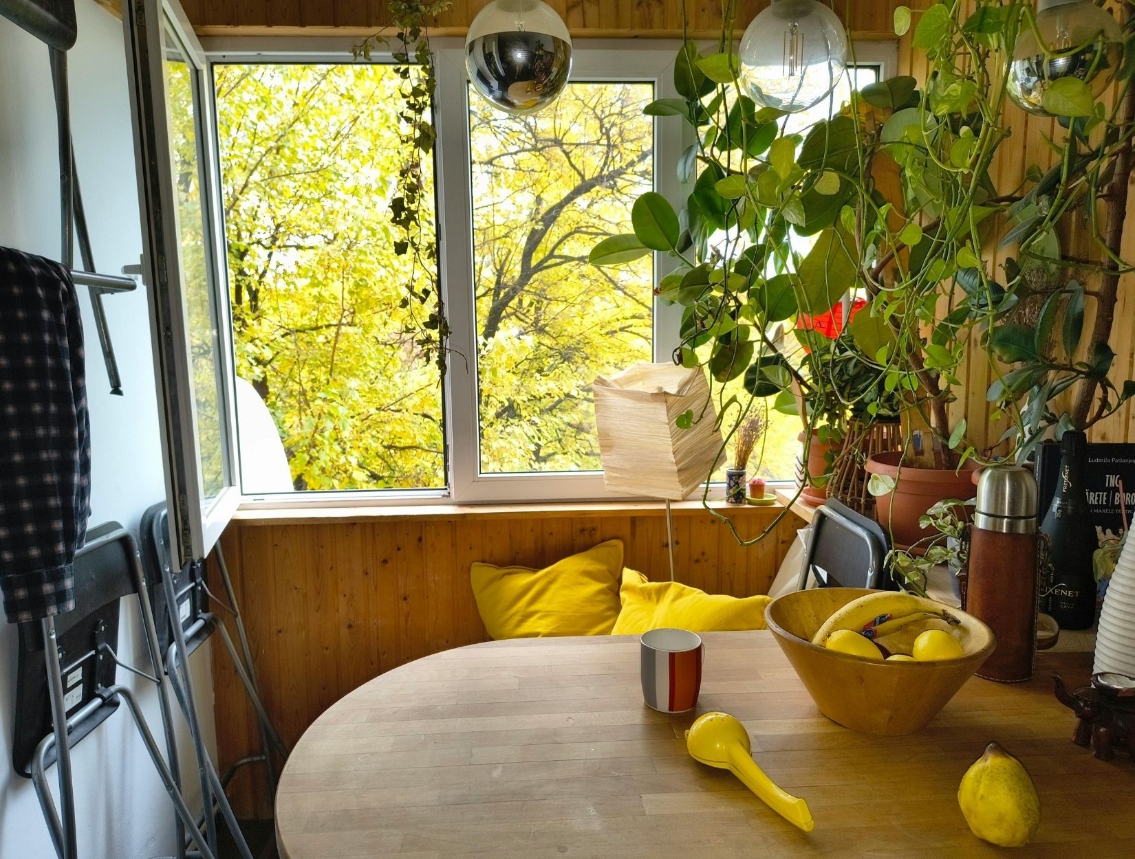 Eco-Friendly Deep Cleaning in Chicago Mums Cleaning Services Chicago Eco-Friendly Deep Cleaning in Chicago