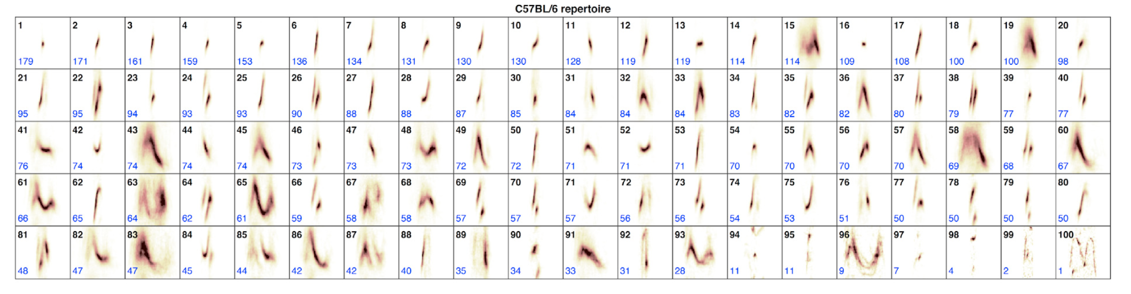 Mupet screen image Alt text