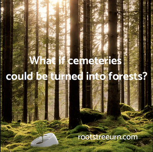 Picture ROOTS, the ecofriendly urn that becomes a tree