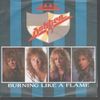 Dokken - Burning Like A Flame LP