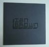 IAN BROWN - LOVE LIKE A FOUNTAIN