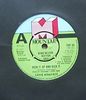 S.A.H.B. WITHOUT ALEX - PICK IT UP AND KICK IT