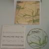 ENO,BRIAN - Ambient #1/Music For Airports 4 tracks