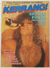 BON JOVI - Kerrang! (all magazines are complete and pristine with NO tears, cuts, marks, writing, creases, etc