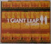 1 GIANT LEAP - My Culture radio edit/My Culture we love this mix/Racing Away + My Culture cd rom