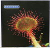 BRAINBOX - Primordia 10 tracks