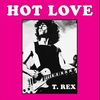 T Rex - Hot Love (Vinyl!)