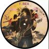T Rex - Think Zinc Picture Disc (Picture Disc!)