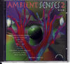 Various Artists - Ambient Senses 2