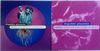 Digable Planets - Reachin’ Poster Flat