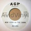 ADLIBS - NEW YORK IN THE DARK / HUMAN