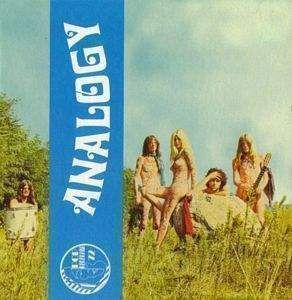 Cover of Analogy
