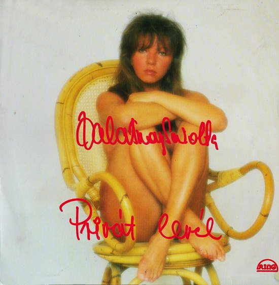 Cover of Privat Level