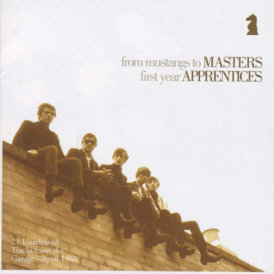 Cover of From Mustangs To Masters: First Year Apprentices