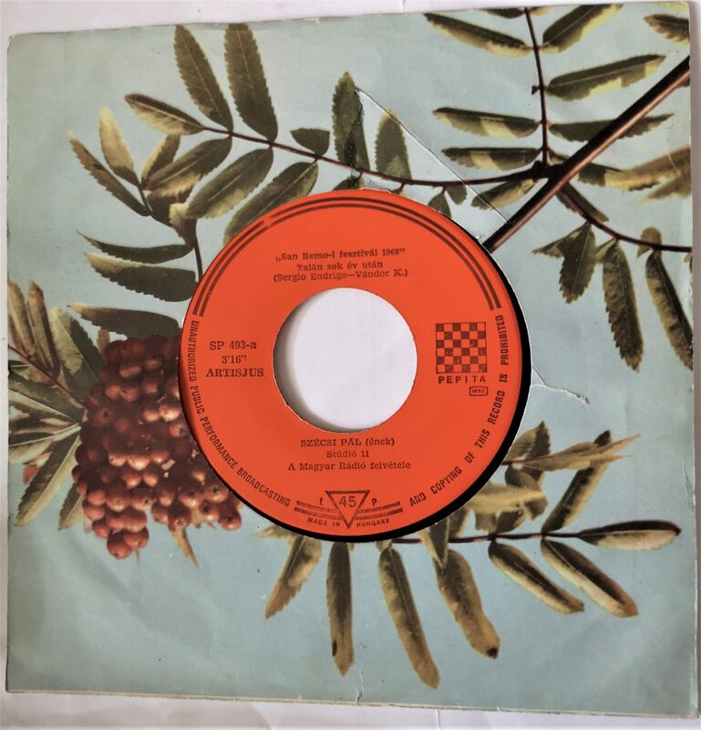 Cover of Talan Sok Ev Utan / Szeretni Bolondulasig