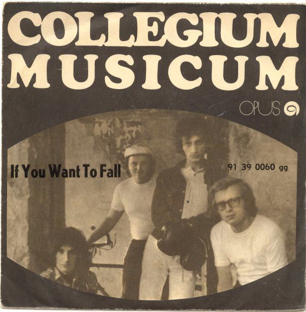 Cover of If You Want To Fall