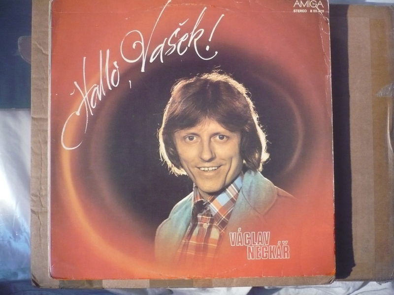 Cover of Hallo, Vasek